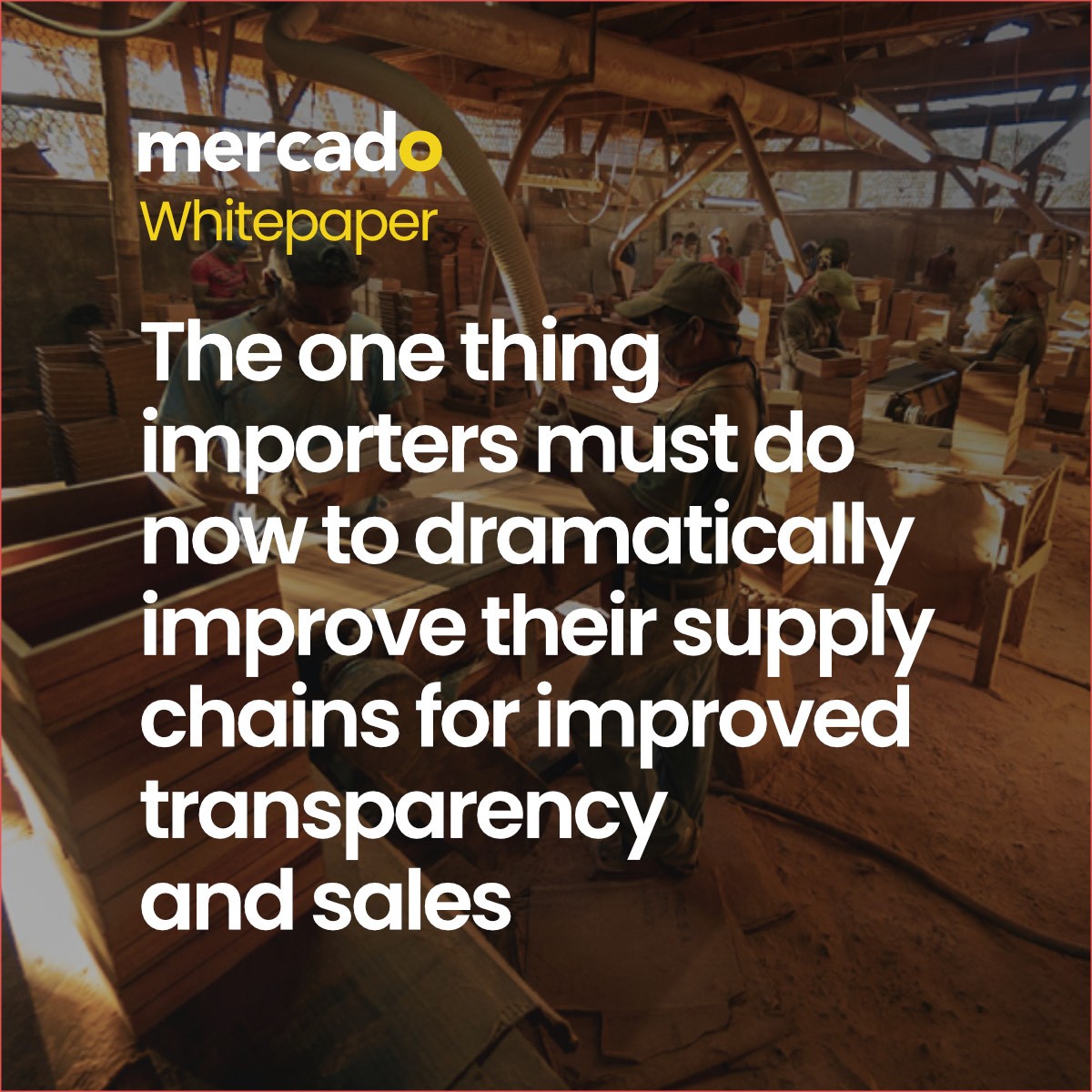 Mercado | Whitepaper - The one thing importers must do now to dramatically improve their supply chains for improved transparency and sales