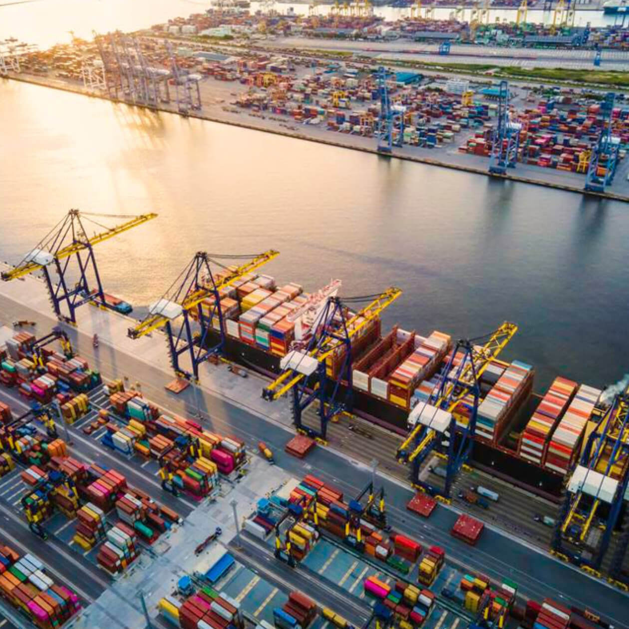 Featured image for “Forbes – From fragility to agility: Building resilient import supply chains amid unpredictability”